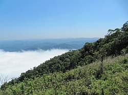 Paranapiacaba forest - de bewolking ligt lager; normaal is de kust en Santos zichtbaar 