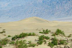 Death Valley - duinen