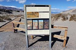 Death Valley - Salt Creek Trail