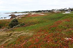 CA-1: zuidelijk langs de kust