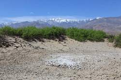 Death Valley - zand bedekt met zout