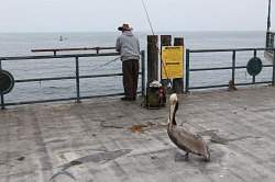 Los Angeles - Redondo Beach