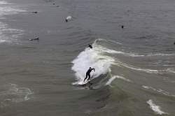 Los Angeles - Venice Beach