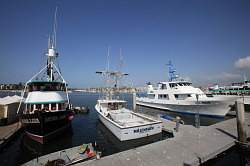 Los Angeles - Marina del Rey