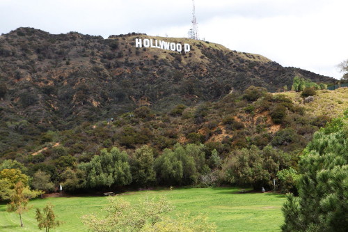 Hollywood