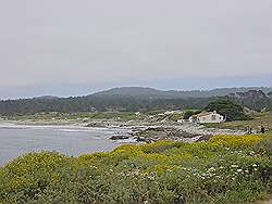 Monterey - 17 mile drive