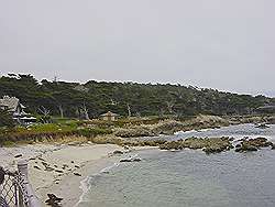 Monterey - 17 mile drive