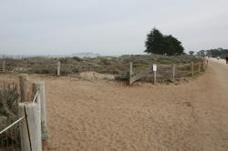 San Francisco - Golden Gate bridge park, kijkend richting stad