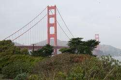 San Francisco - Golden Gate bridge