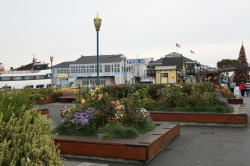 San Francisco - Pier 39