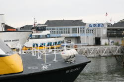 San Francisco - Pier 39