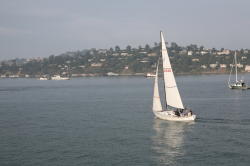 Sausalito - veel watersport