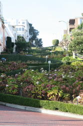 San Francisco - Lombard street