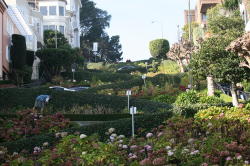 San Francisco - Lombard street