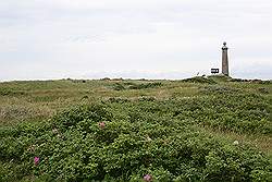 Skagen