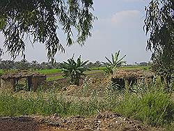 Landbouw gebied ten zuidwesten van Cairo