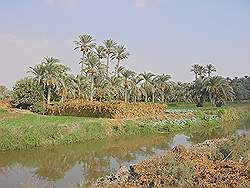 Landbouw gebied ten zuidwesten van Cairo