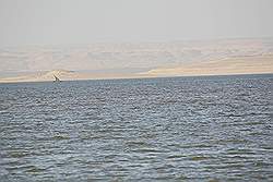Faiyum - Qarum meer; aan de overkant de woestijn