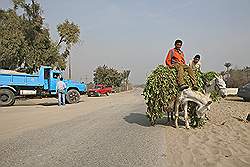 Landbouw gebied ten zuidwesten van Cairo