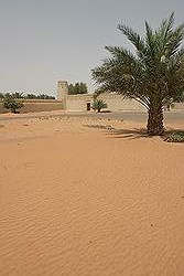 Al Ain - Al Jahlii fort