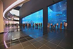 Dubai Mall