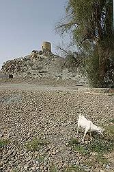 Hatta - Heritage Village