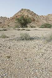 Landschap langs de weg van Hatta naar Dubai