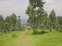 Addis Abeba - uitzicht vanaf berg