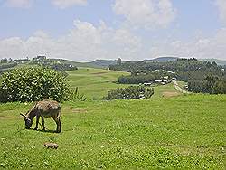 Addis Abeba - uitzicht vanaf berg