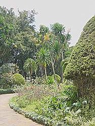 Addis Abeba - het museum; met mooie tuinen eromheen