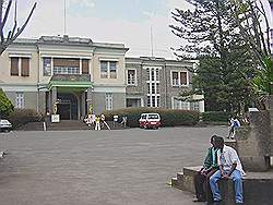 Addis Abeba - het museum; een kunstwerk uit de Italiaanse periode ervoor