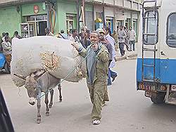 Addis Abeba - de stad