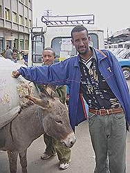 Addis Abeba - de stad