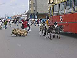 Addis Abeba - de stad