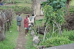 Lalibela - tussen het vliegveld en de stad