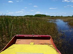Everglades - swamp bEverglades - grassland airboat touruggy