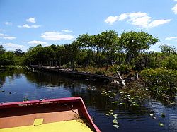 Everglades - grassland airboat tour