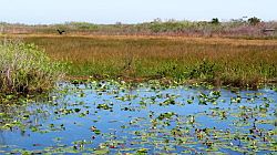 Everglades National Park