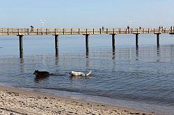 Binz auf Rügen