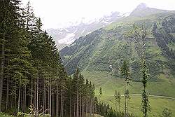 Grossglockner