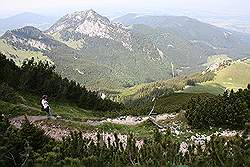 Wendelstein