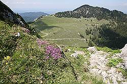 Wendelstein