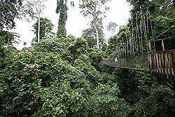 Kakum National Park