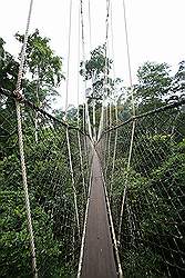 Kakum National Park