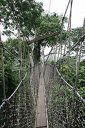 Kakum National Park