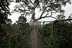 Kakum National Park