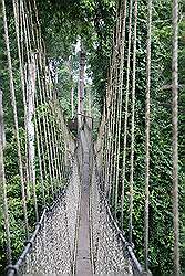 Kakum National Park