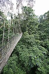 Kakum National Park