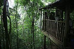 Kakum National Park