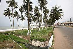 Elmina